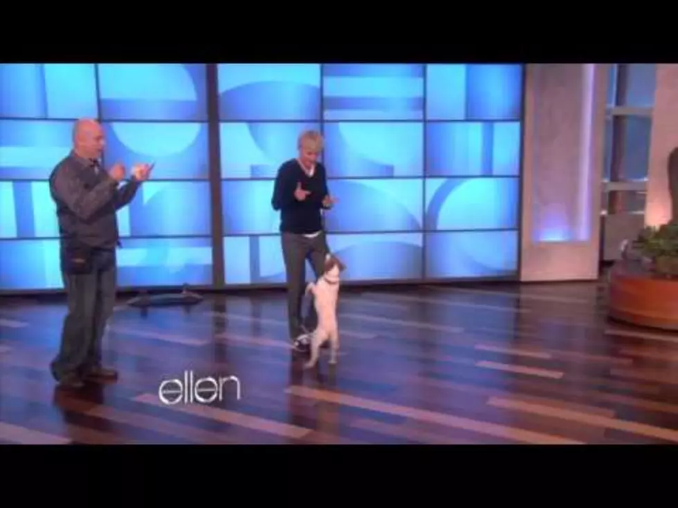 Uggie Does Tricks For Ellen [VIDEO]