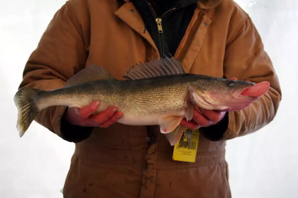 When Does Walleye Fishing Season Begin in New York State?