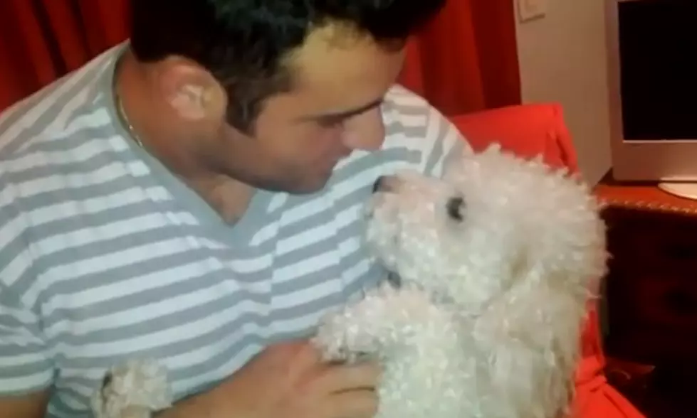 Dog Doesn’t Like to be Called ‘Baby’ [VIDEO]