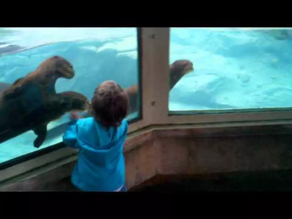 &#8216;Cute Kid&#8217; of the Day Plays with Otter [VIDEO]