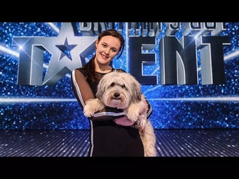 Pudsey the Dog Wins Britians Got Talent [VIDEO]