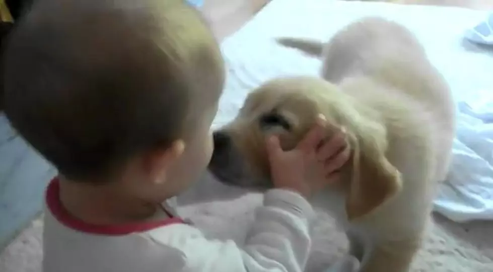 ‘Cute Kid’ of the Day & Puppy Meet For First Time [VIDEO]