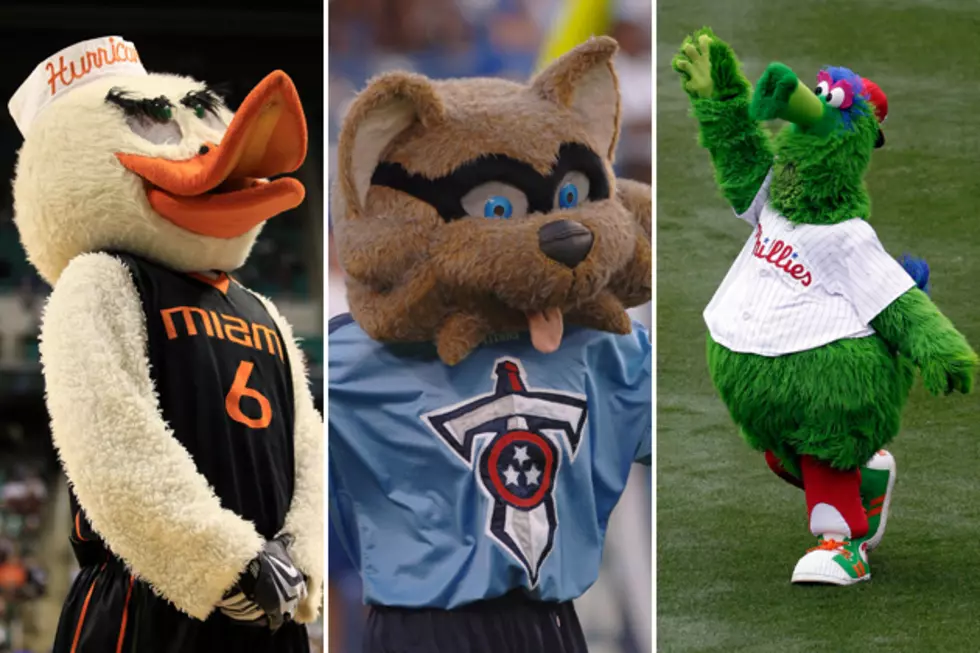 Vote For Your Favorite Herkimer County High School Mascot [POLL]