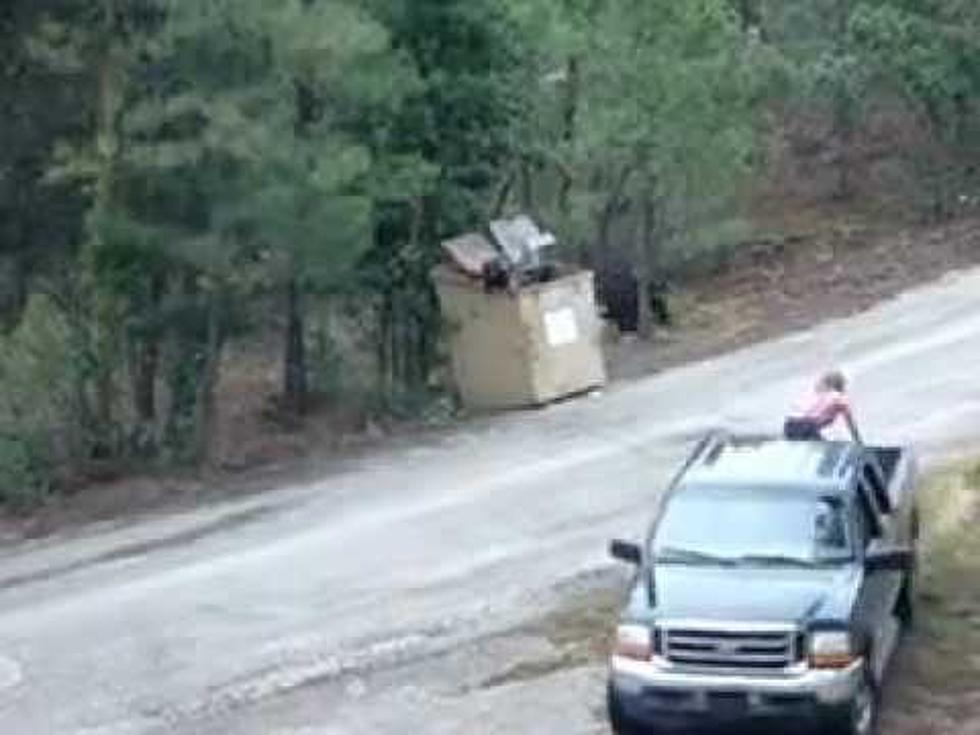 Rescuing Bear Cubs from a Dumpster with a Ladder [VIDEO]