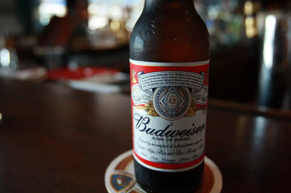 Is A Hidden Busch Beer Medallion Hidden In The Adirondacks?