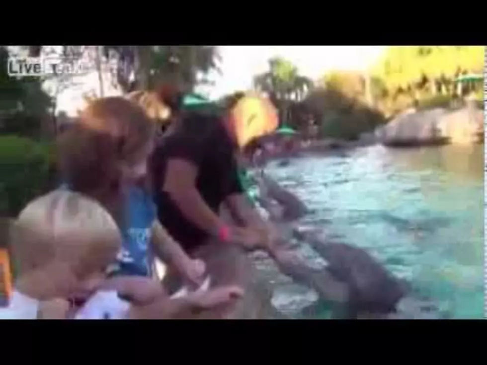 Girls Bitten By Dolphin at Sea World [VIDEO]