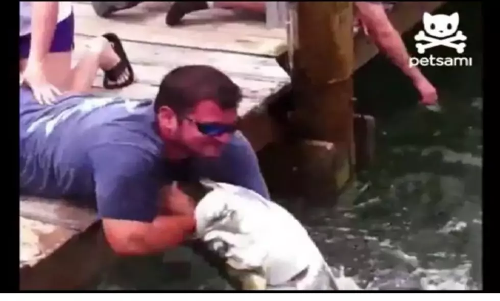 Giant Fish Tries To Swallow Man&#8217;s Arm [VIDEO]