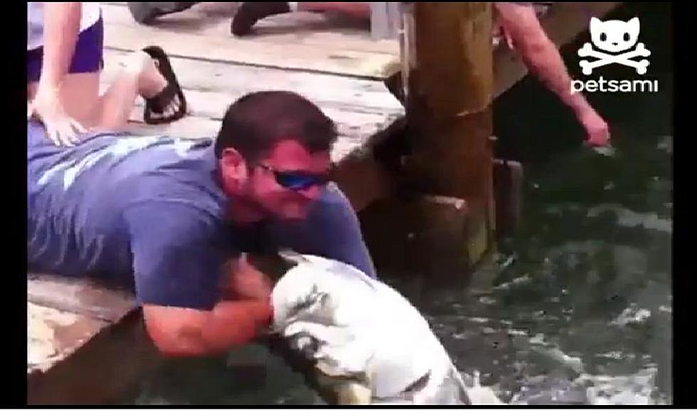 Giant Fish Tries To Swallow Man’s Arm [VIDEO]