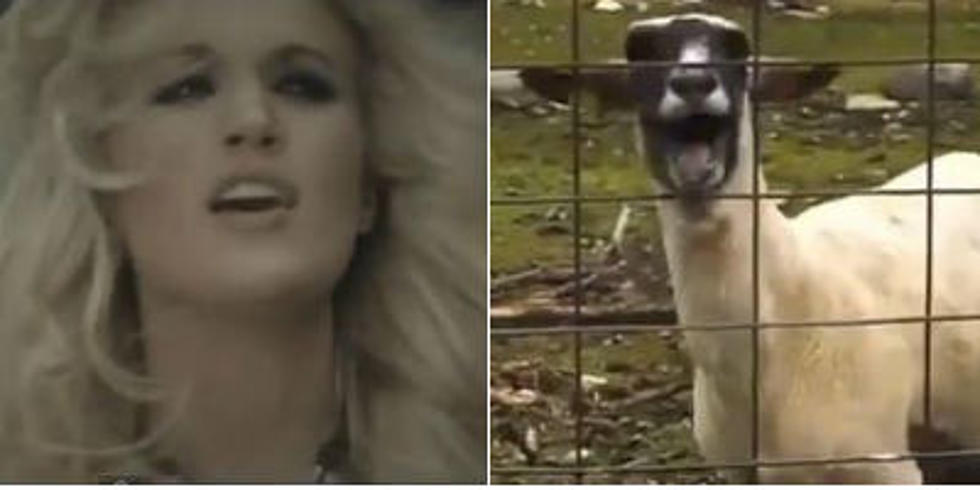 Carrie Underwood &#8216;Blown Away&#8217; Goat Re-Mix Better Than Taylor Swift&#8217;s? [VIDEO]