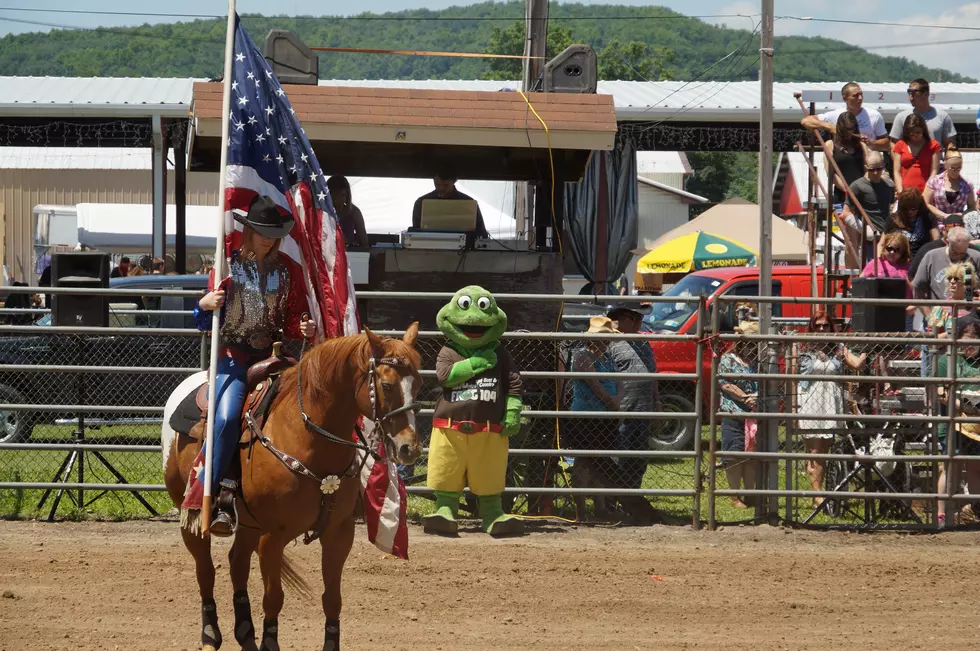 Rodeo at FrogFest