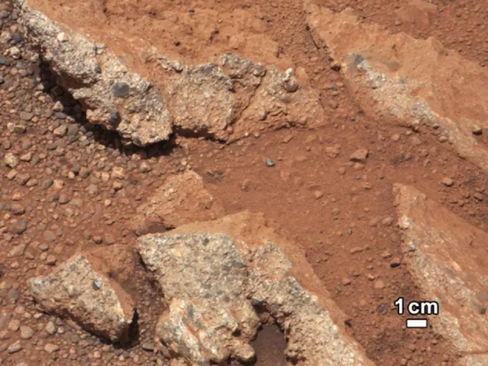 Are These Photos Of Life On Mars? [VIDEO]
