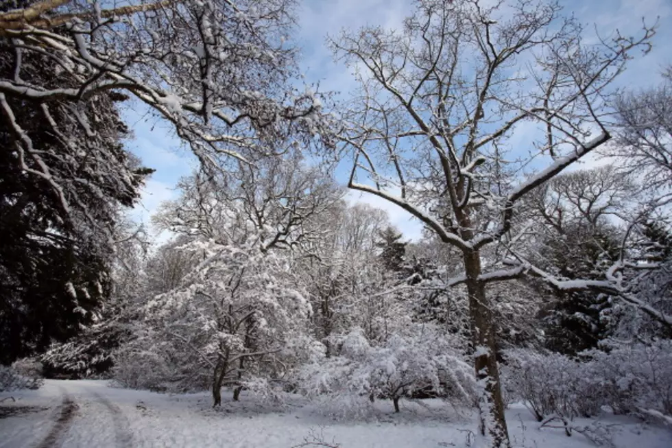 Winter Concert Tonight At Hamilton College