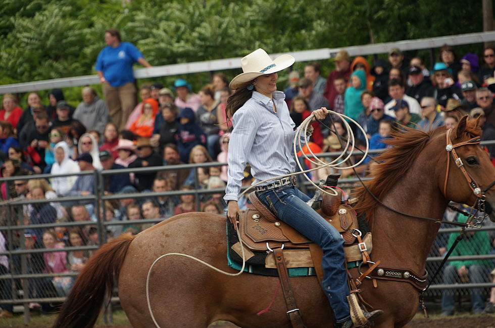 Painted Pony Rodeo At Frogfest 2014