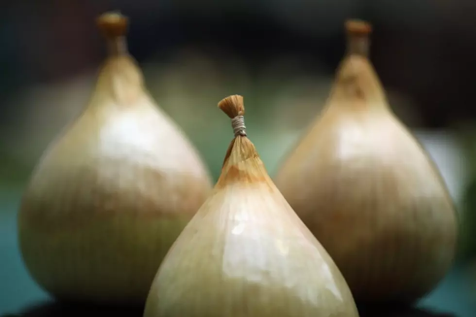100 Onions Grown By Maine 5th Graders Stolen