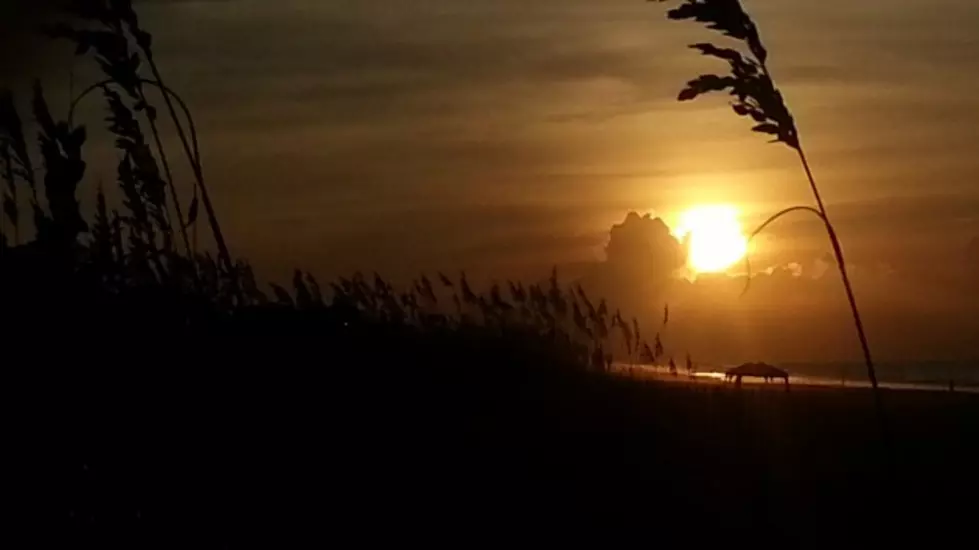 Tad and Polly See Dolphins, Wild Horses, Beautiful Sunrises During North Carolina Vacation [PHOTOS + VIDEOS]