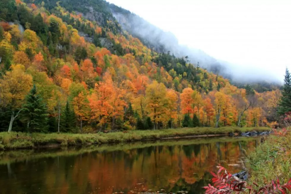 Best Places To See Fall Foliage in New York
