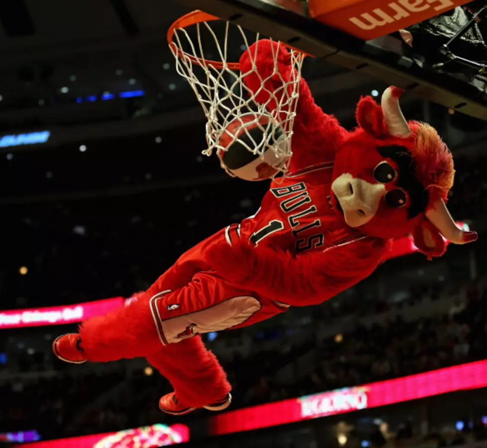 Chicago Bulls Mascot Steals Fan From Crowd During Kiss Cam