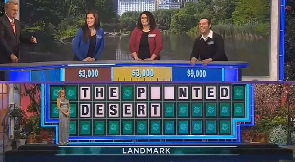 Wheel Of Fortune Contestant Forgets How To Play The Game [WATCH]