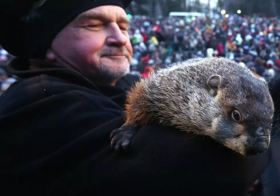 Punxsutawney Phil Tells Us The Obvious, Six More Weeks Of Winter
