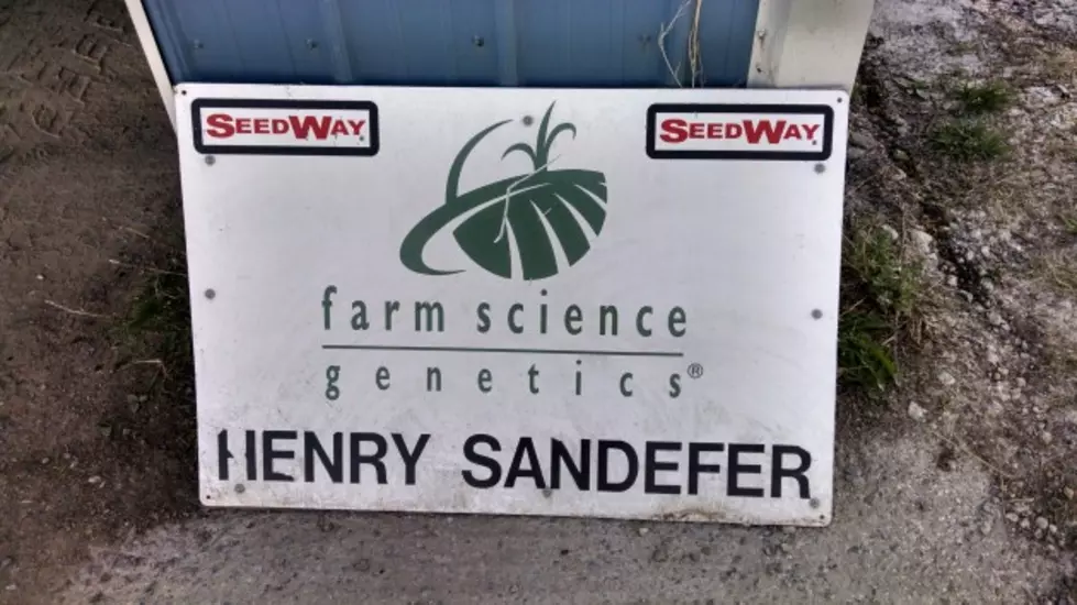 Take A Walk Through The Sandefer Hills Farm Milking Parlor &#8211; AG Matters [VIDEO]