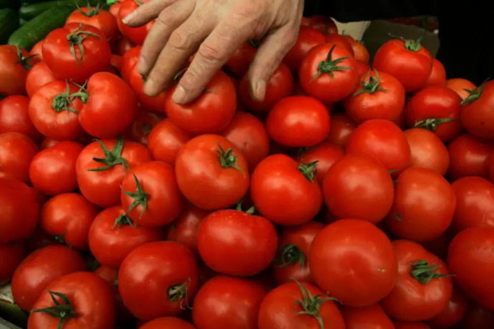 Things To Know For Growing The Best Tomatoes &#8211; Ag Matters