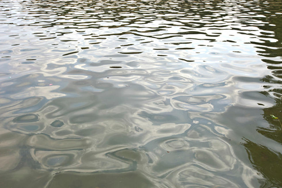 Williams Beach In Cicero Closed For Swimming During The 2015 Summer Season