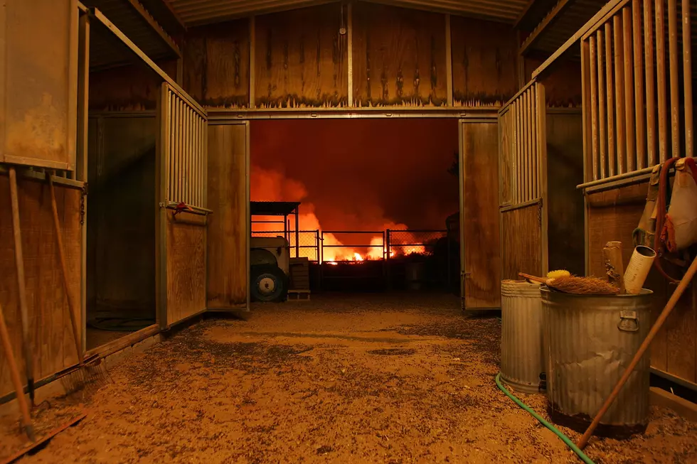 120 NY Farm Animals Die In Fire