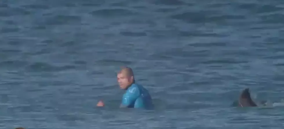 Professional Surfer Mick Fanning Attacked By Shark During Competition [VIDEO]