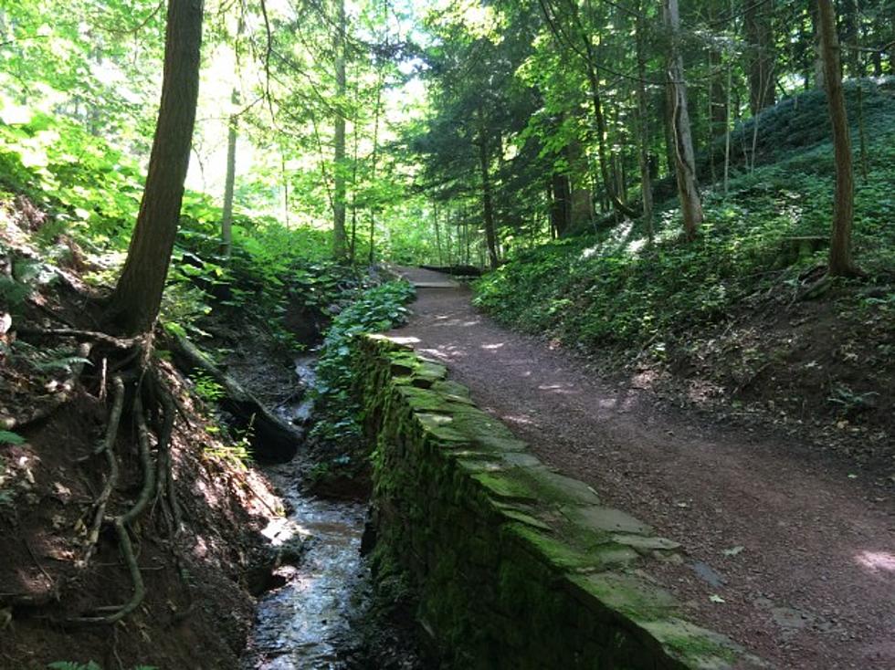 Visit the Beauty of The Root Glen at Hamilton College [Photos + Video]