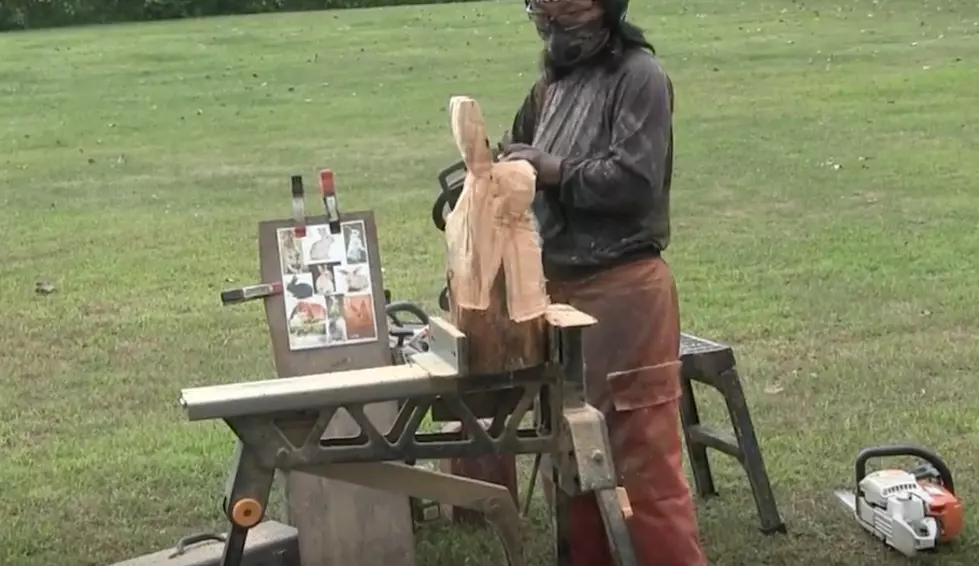 Aya Blaine One of Many Chainsaw Carvers at The Woodsmen’s Field Days [Video]
