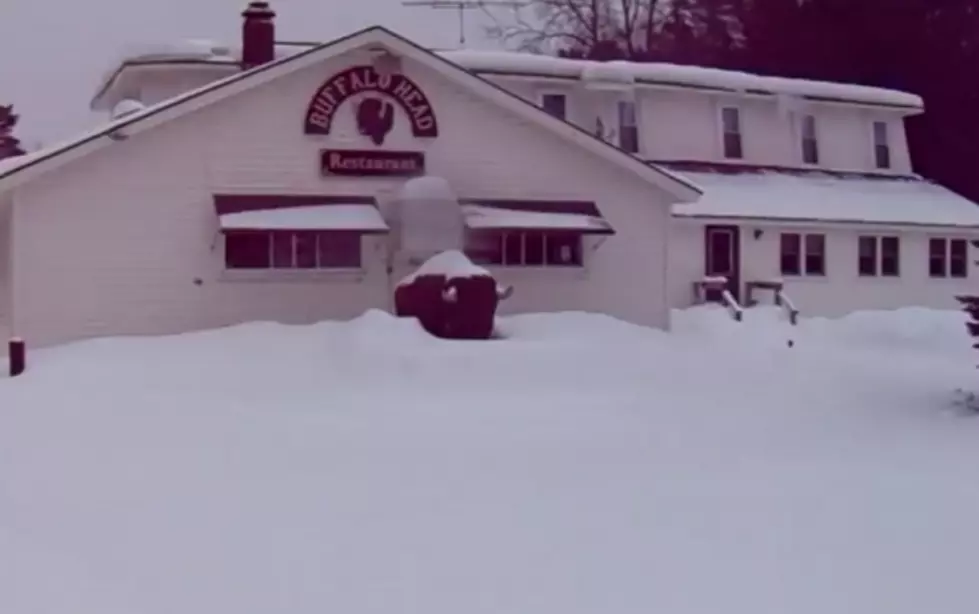 The Buffalo Head Restaurant May Re-Open in November