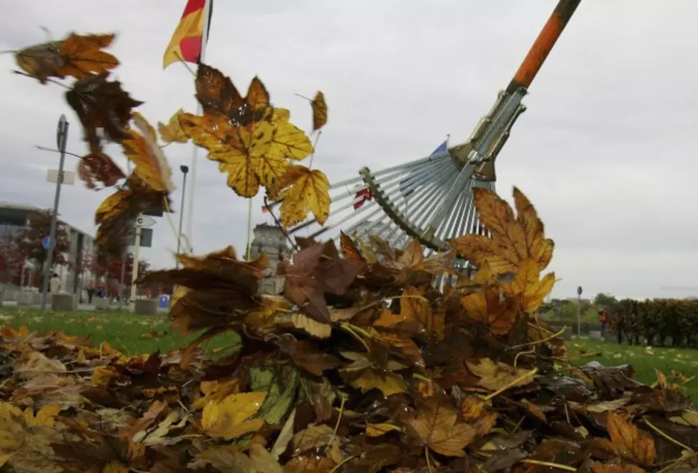 Raking Leaves And Fall Lawn Tips &#8211; AG Matters