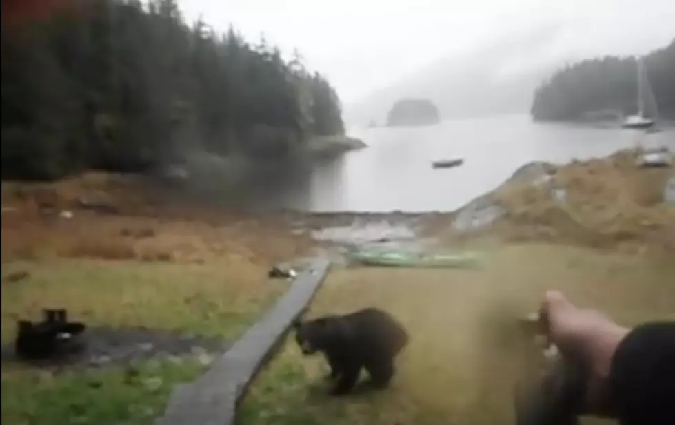Woman Tries to Stop a Bear From Eating Her Kayak With Pepper Spray and Loud Shrieking [VIDEO]