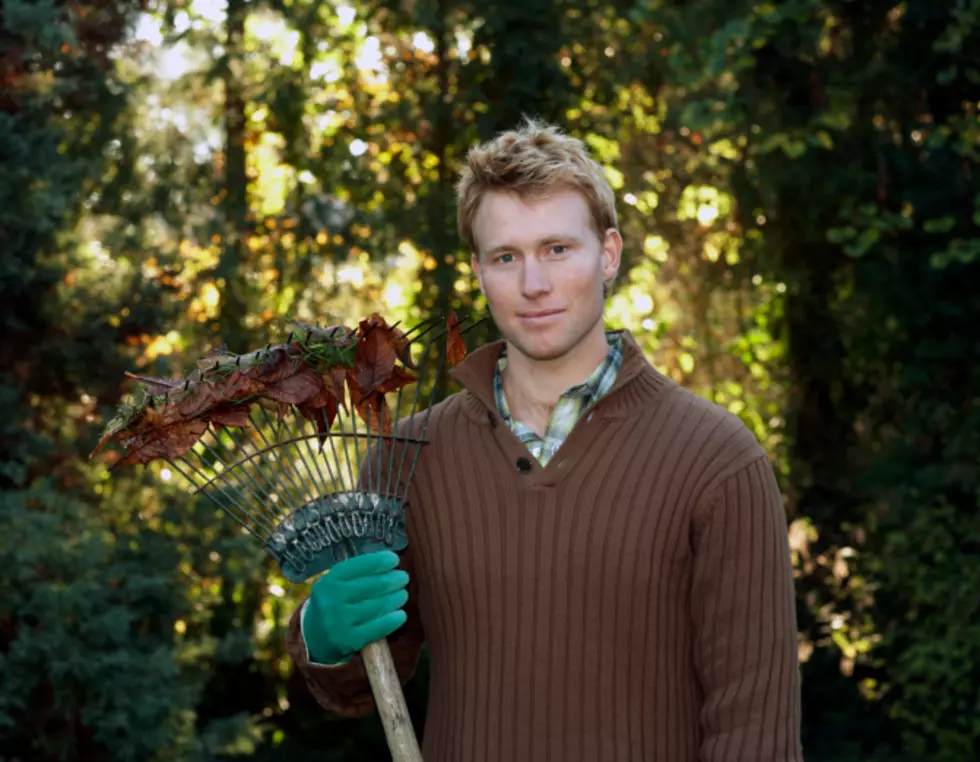 Scientists Want You To Not Rake Your Leaves