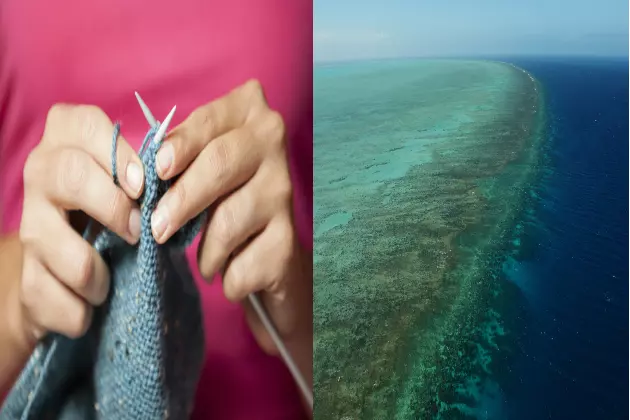 What Do Crocheting, Climate Change and The Great Barrier Reef Have In Common? &#8211; Ag Matters
