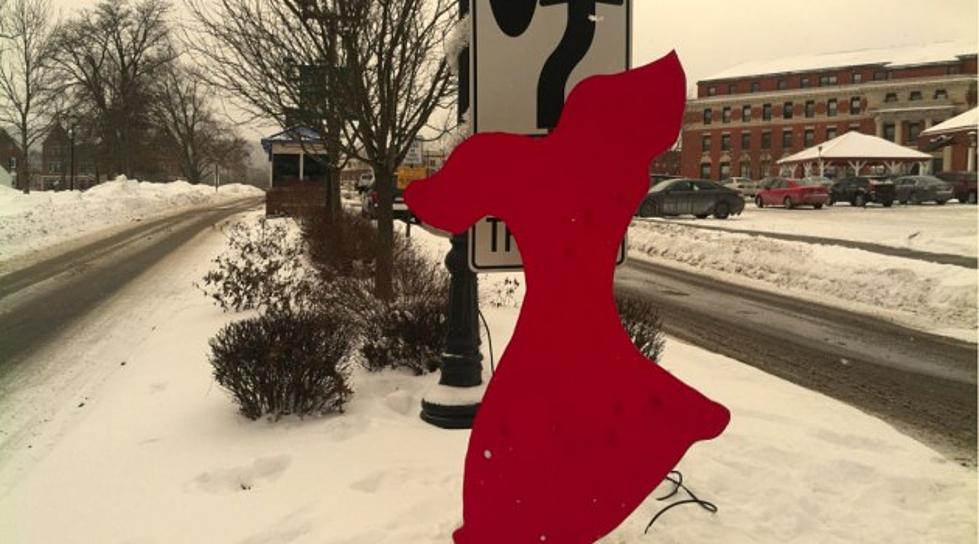 Central New York is Going Red for Women