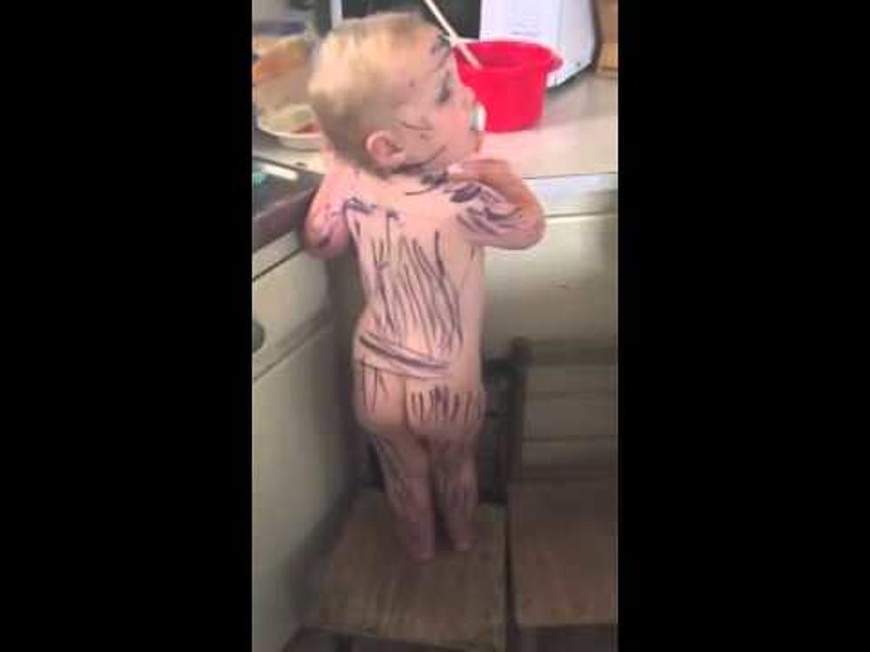 Girl Loves Zebras So Much She Uses Sharpie to Turn Her Little Sister Into One [VIDEO]