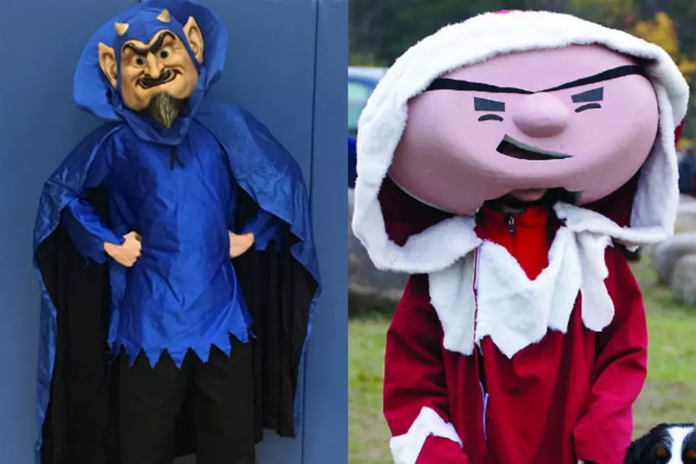 Time to Vote for Central New York&#8217;s Best High School Mascot [POLL]