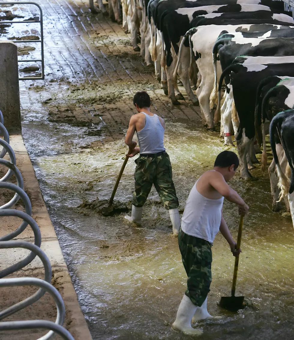 The “Spring Flush” – The Busiest Time of the Year on the Farm- Ag Matters