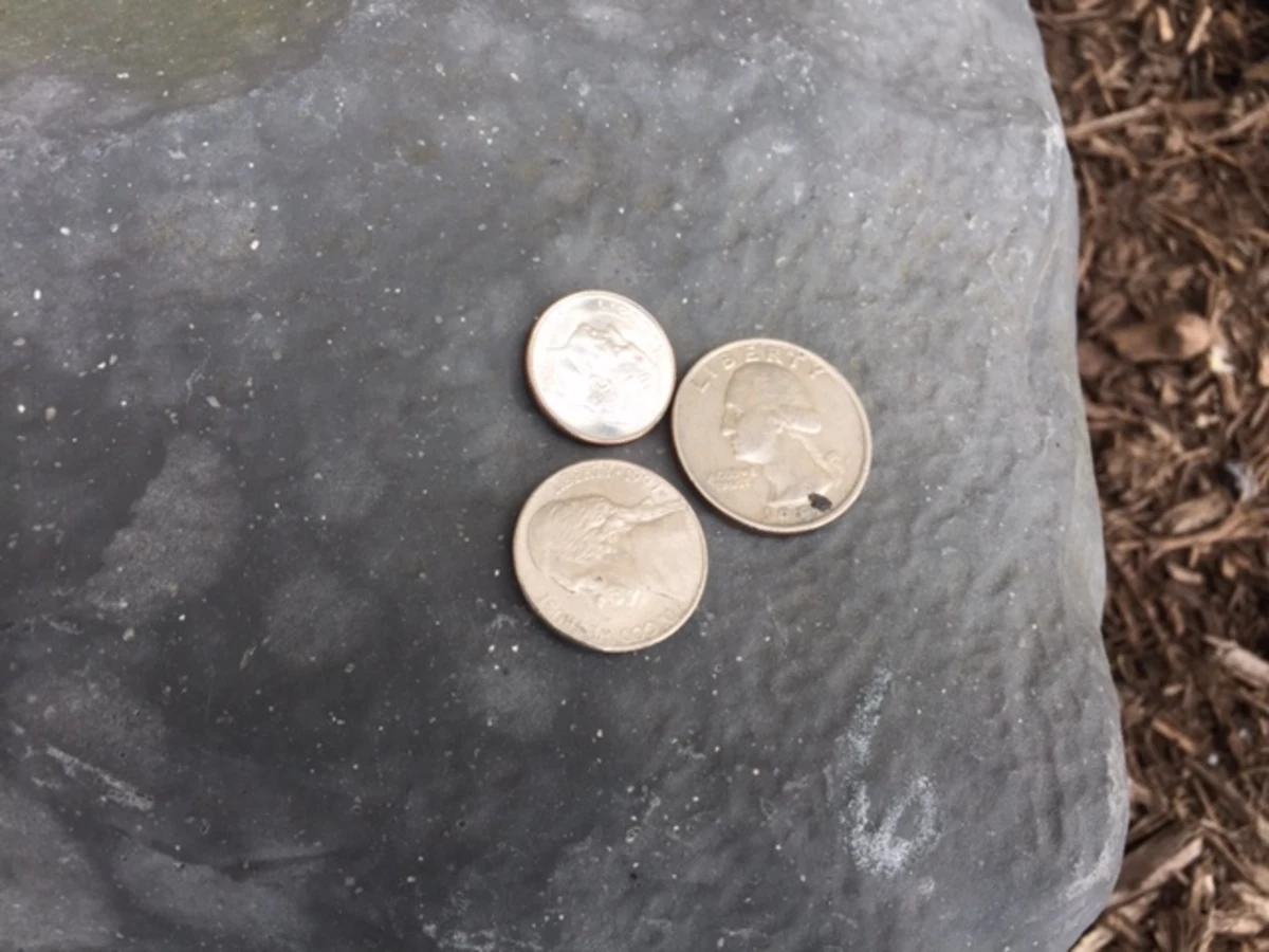 What Are The Meanings Of Coins Left On Soldiers Graves?