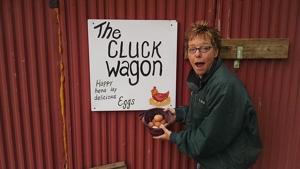 Watch Polly Get Pecked Lending A ‘Farm Hand’ At The Cluck Wagon