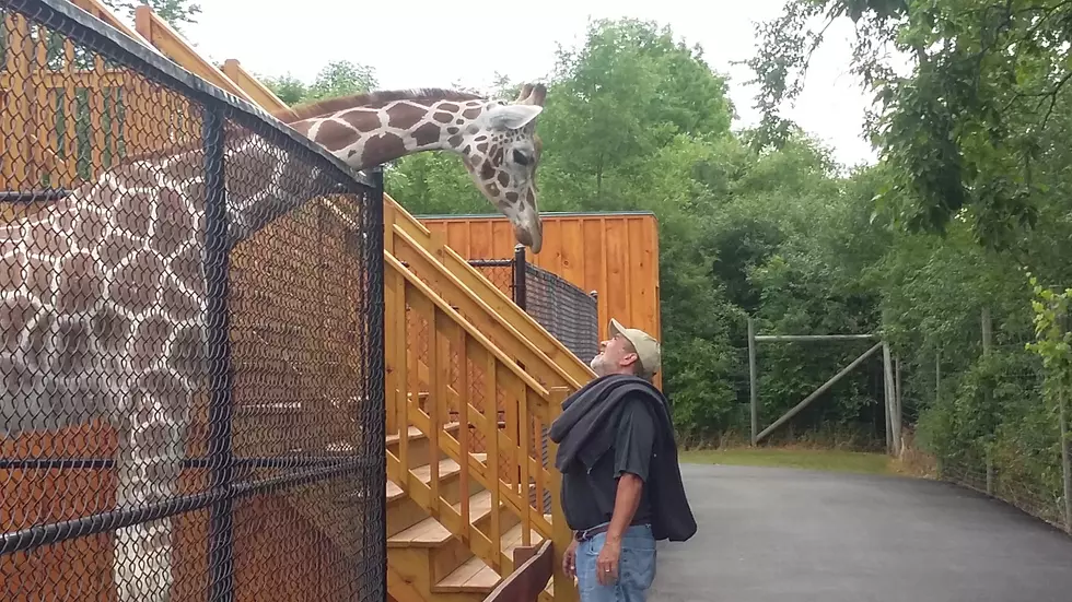 Go Inside The Wild Animal Park in Chittenango as Tad and Polly Lend a Farm Hand