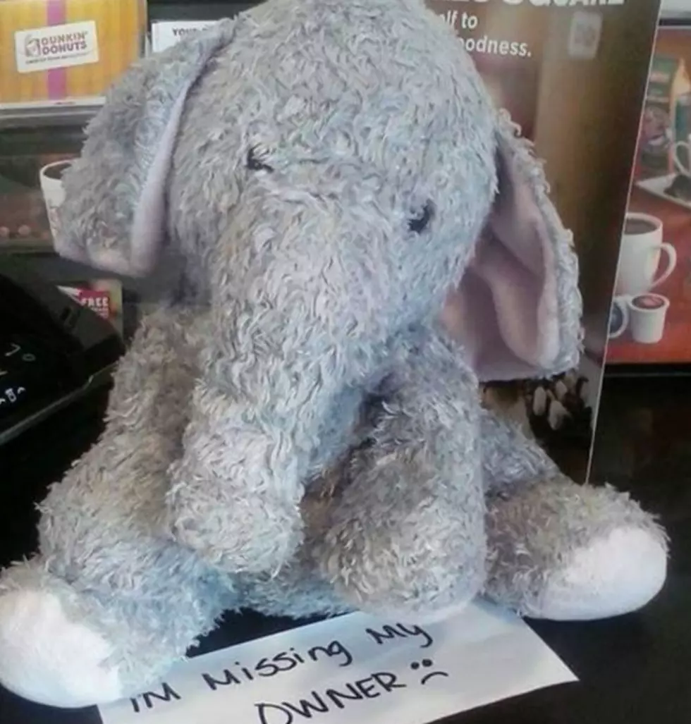 Missing Stuffed Elephant Finds Her Way Back Home After Boilermaker