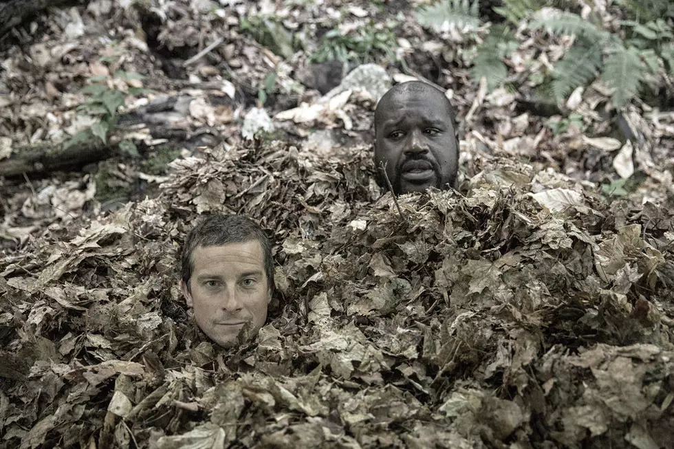 Why is Shaq Covered in Leaves in the Adirondacks