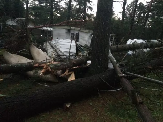 See Storm Devastation at Pine Lake Campground