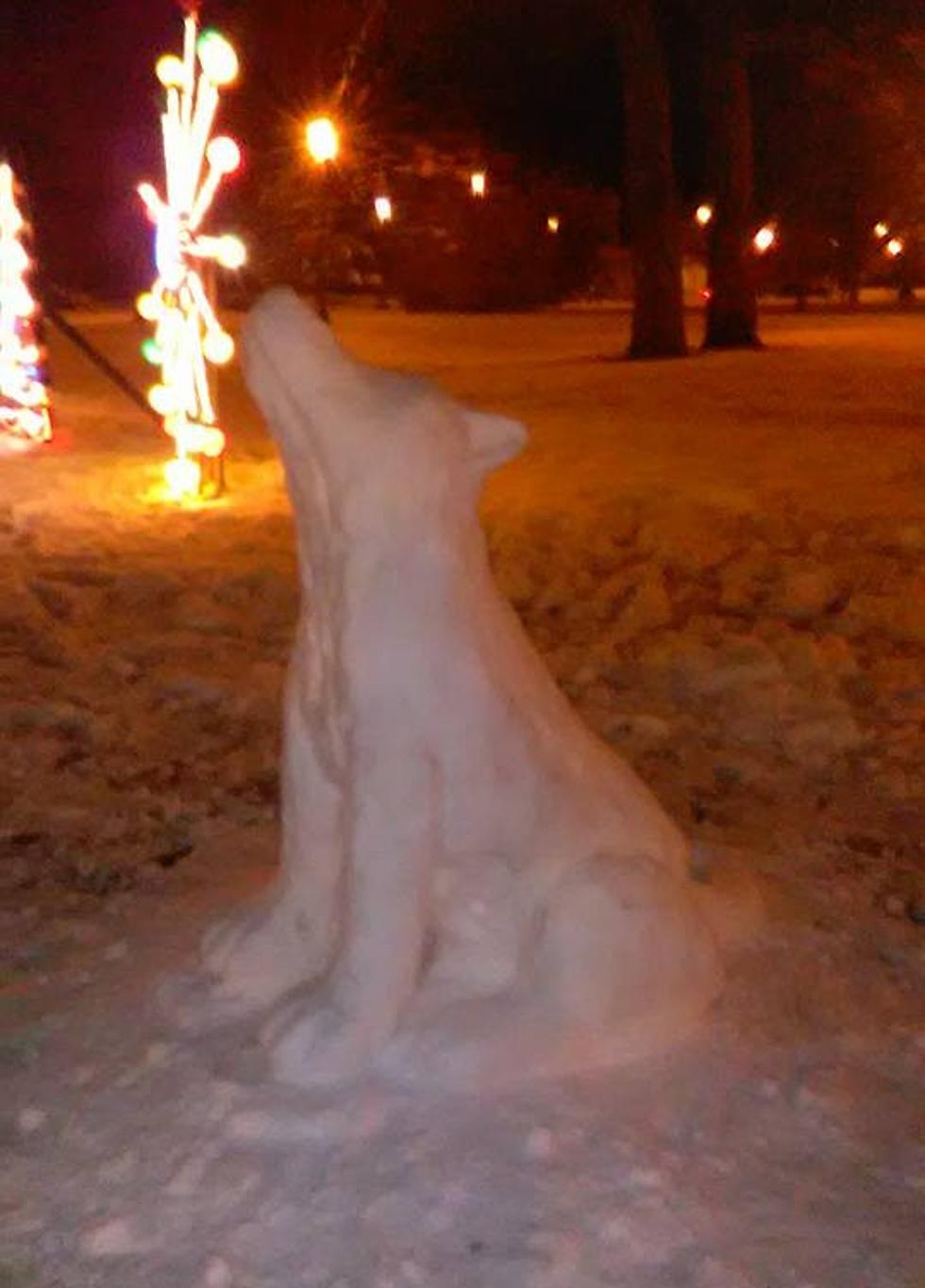 Vandal Destorys Beautiful Wolf Snow Sculpture at Ft Stanwix