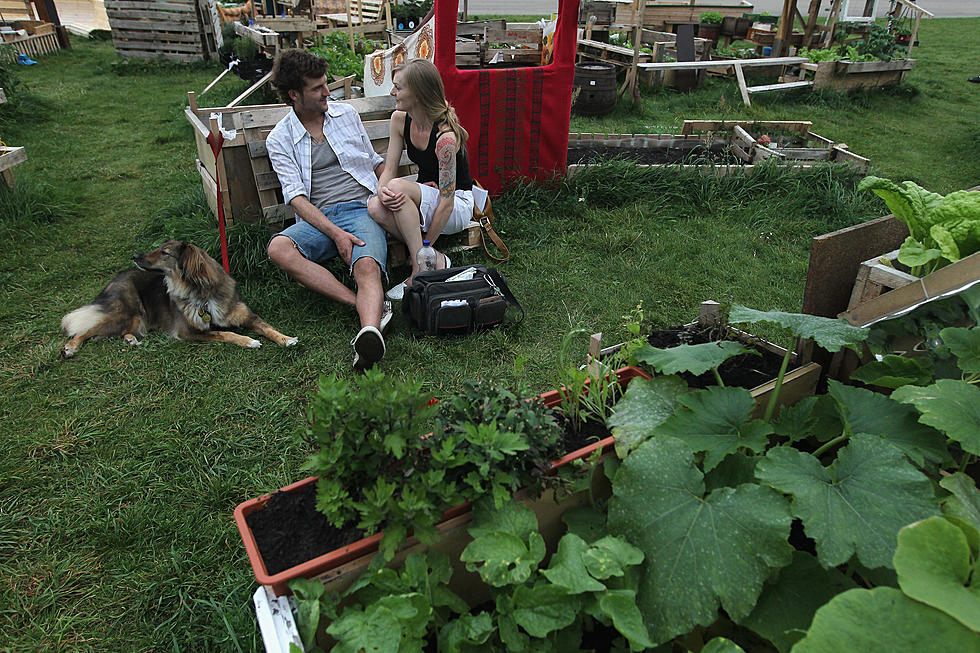 Spring Green Waste Pick-Up Will Begin In Utica April 17th