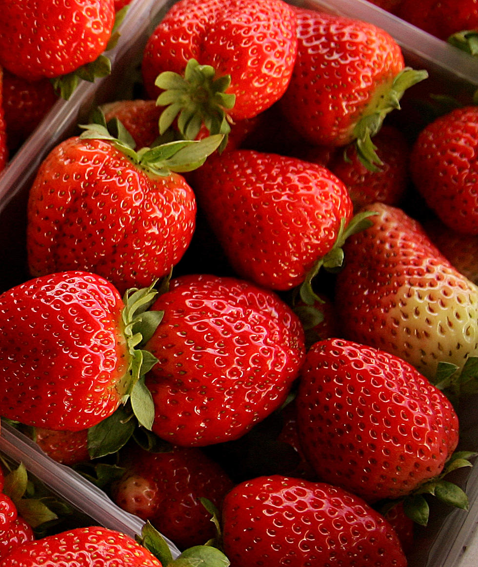 Strawberry Picking Season in Central New York