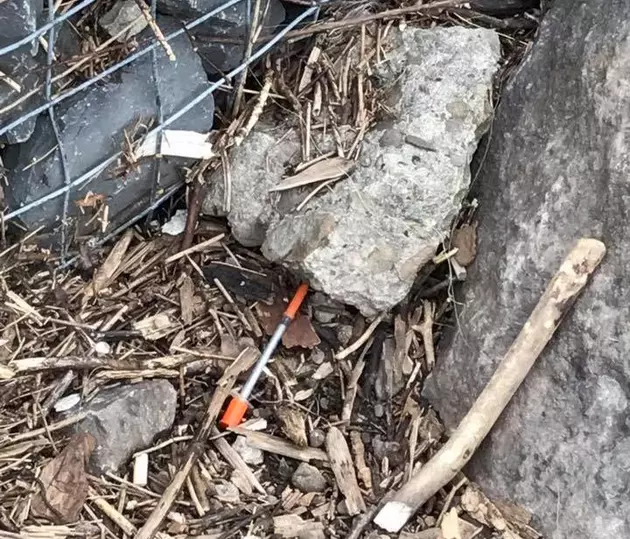 Rome Man Finds Needle Among Trash in Bellamy Harbor Park