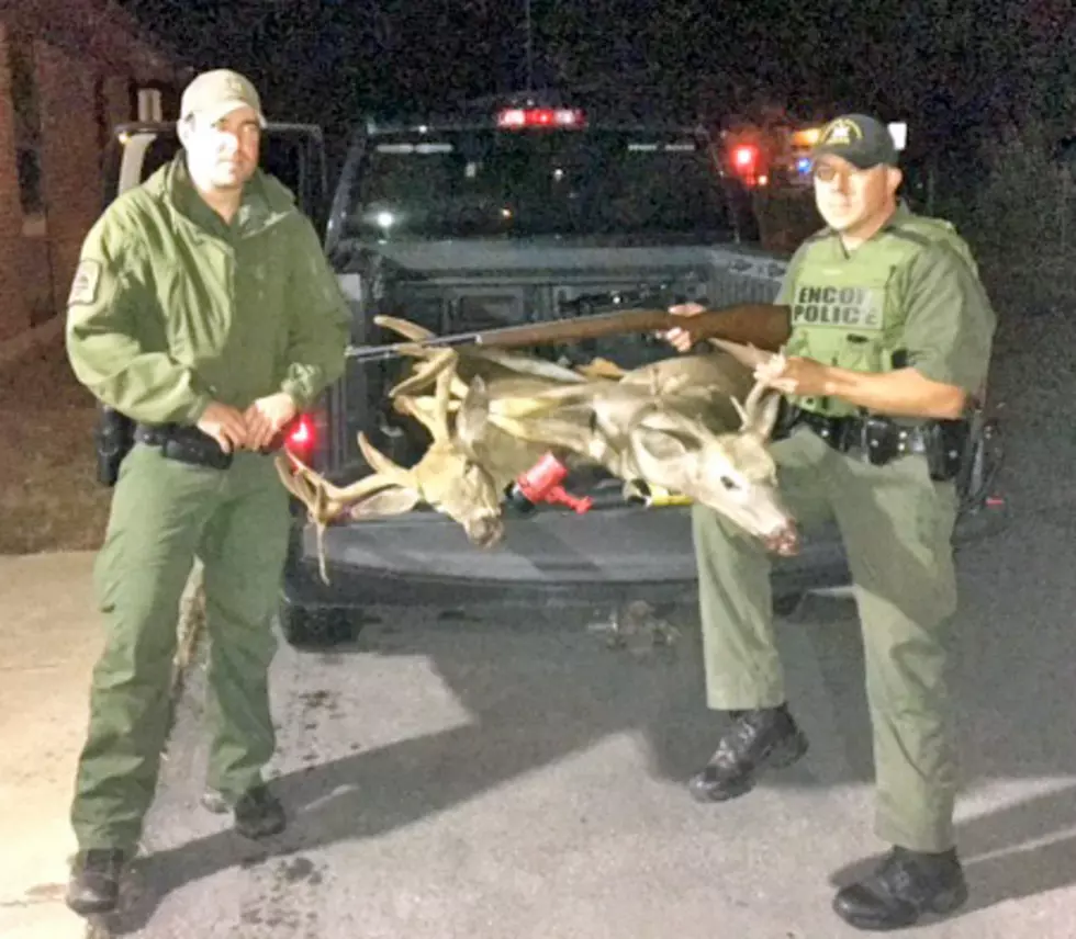 St. Lawrence Man Charged For Hunting Out Of Season